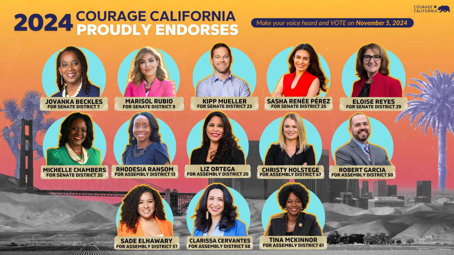 California Share These 2024 General Election Resources Courage